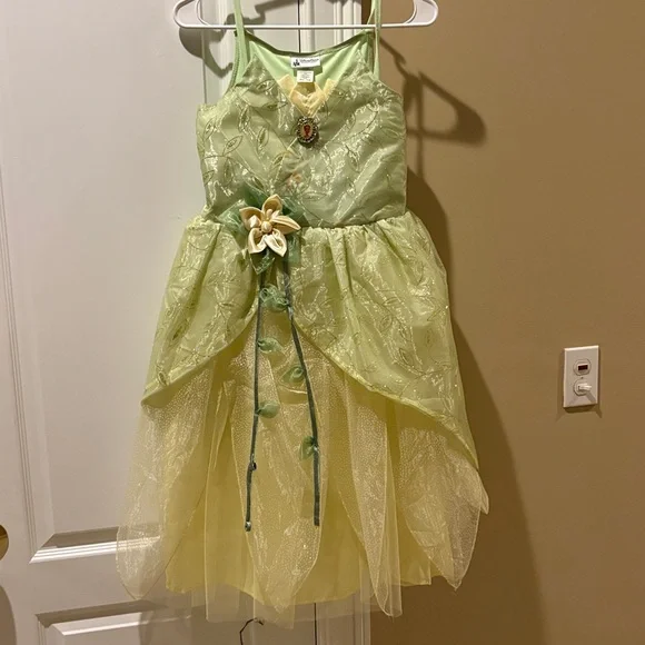 sachin and babi light blue dress The Enchanted Fairy Package